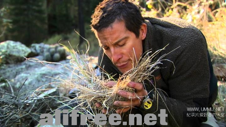 Man-vs.-Wild1.jpg